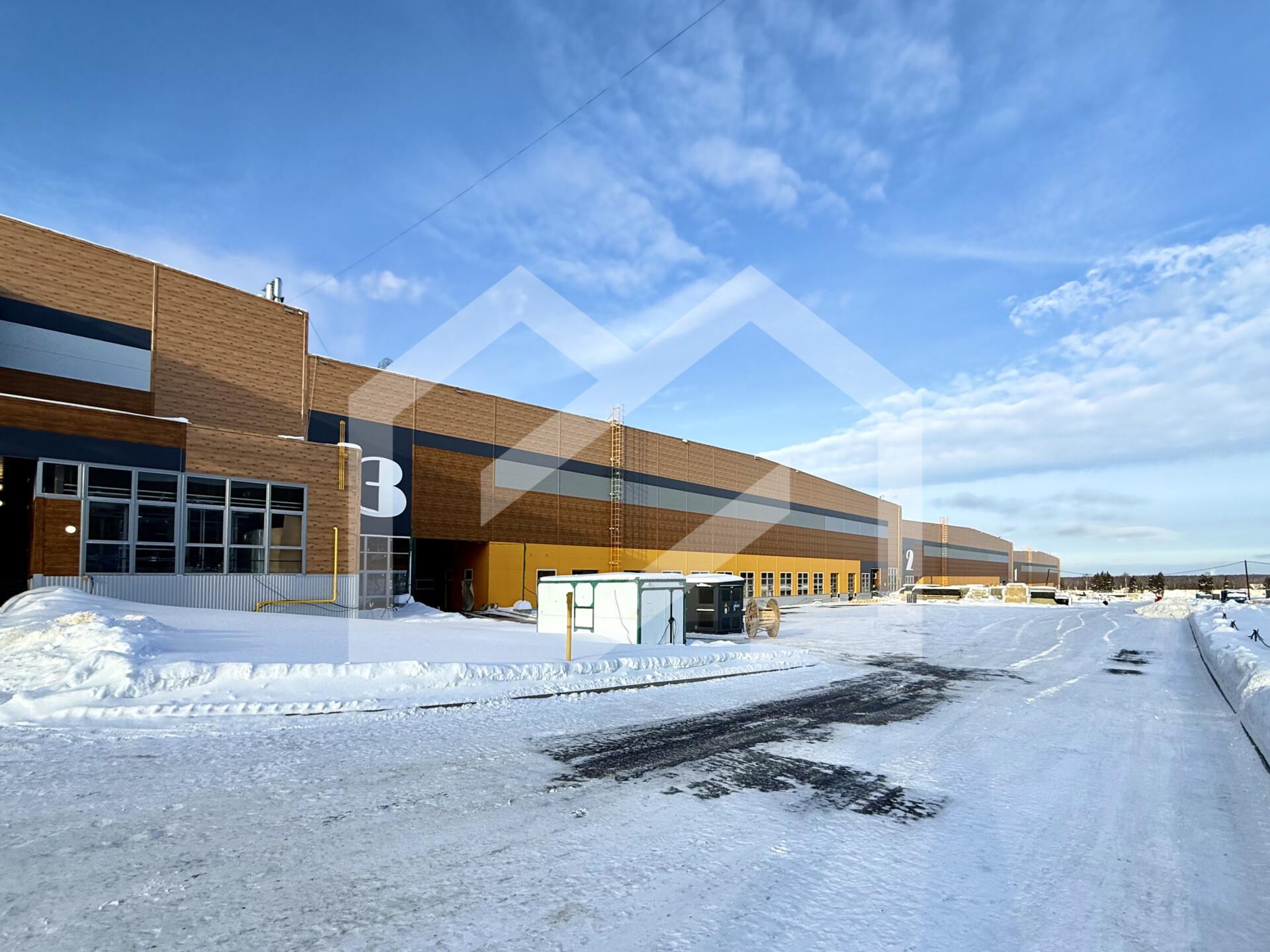 Копия IMG_8683.jpeg