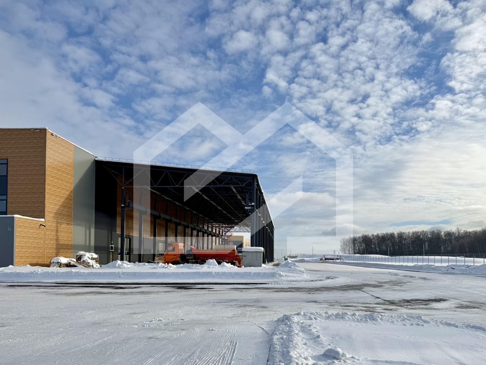 Копия IMG_8629.jpeg