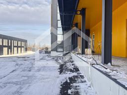 Копия IMG_8650.jpeg