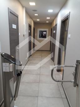 5215431938213090678.jpg