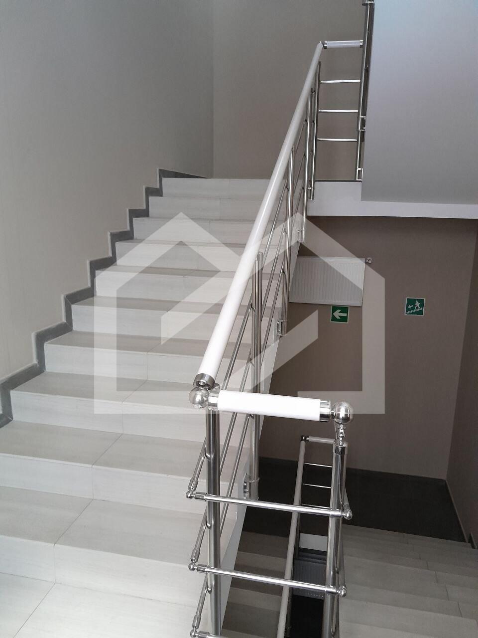 5215431938213090680.jpg