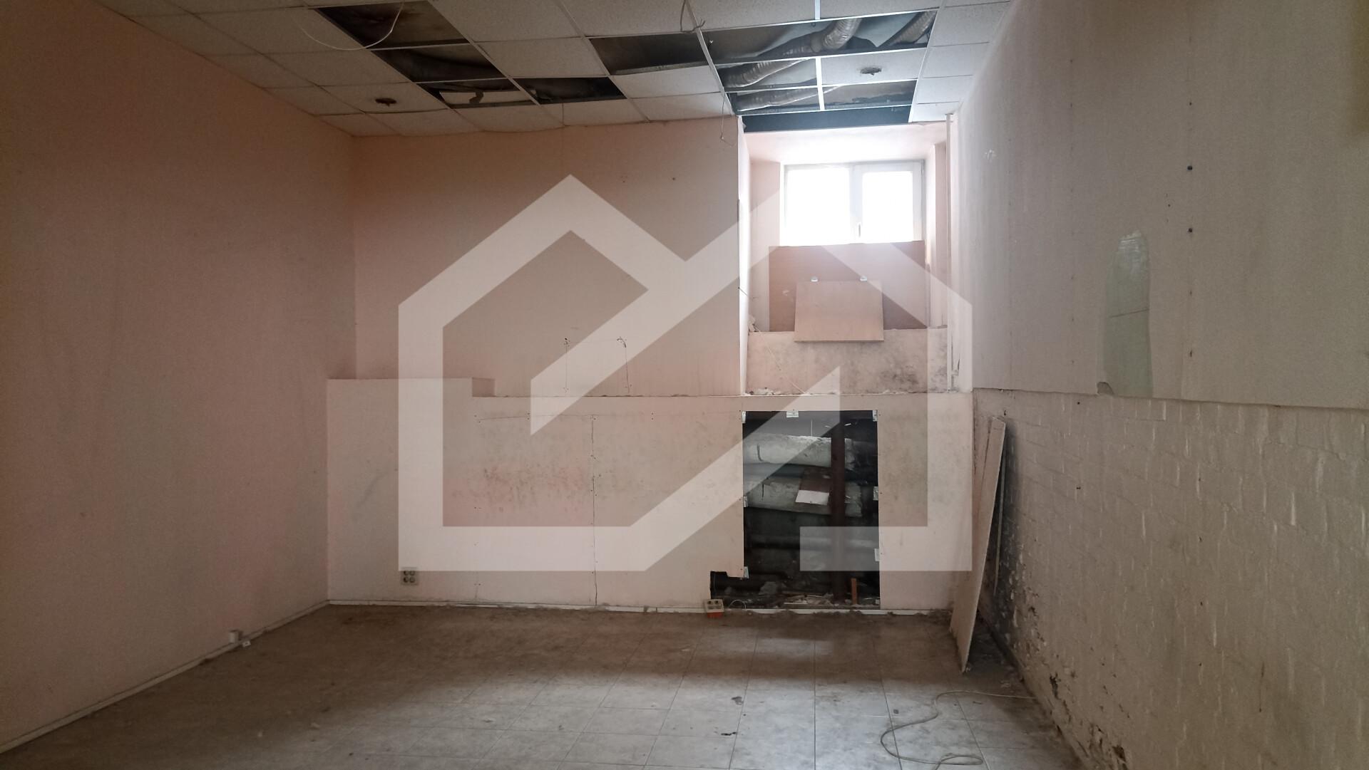 image6.png