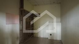 image13.jpeg