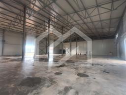 WhatsApp Image 2025-09-03 at 16.49.52.jpeg