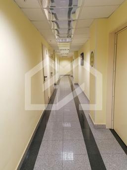 Снимок экрана 2026-03-11 145838.png