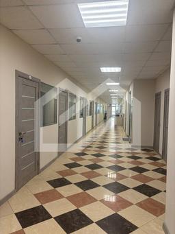 photo_2026-03-12_10-10-59 (2).jpg