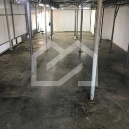 5262725124484437255.jpg