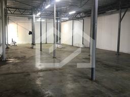 5262725124484437254.jpg