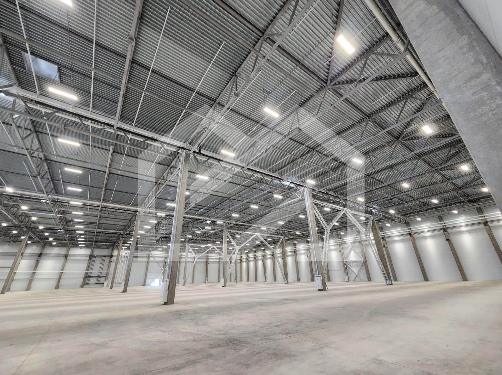 Снимок экрана 2026-03-19 121518.png