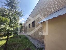 IMG_0682.jpeg