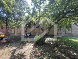 IMG_0683.jpeg