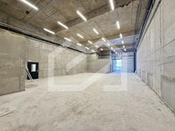 Копия IMG_8581.jpeg