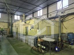 1776067142368-695-Снимок экрана 2026-04-13 105753.jpeg