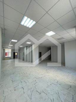 WhatsApp Image 2026-04-16 at 08.31.40.jpeg