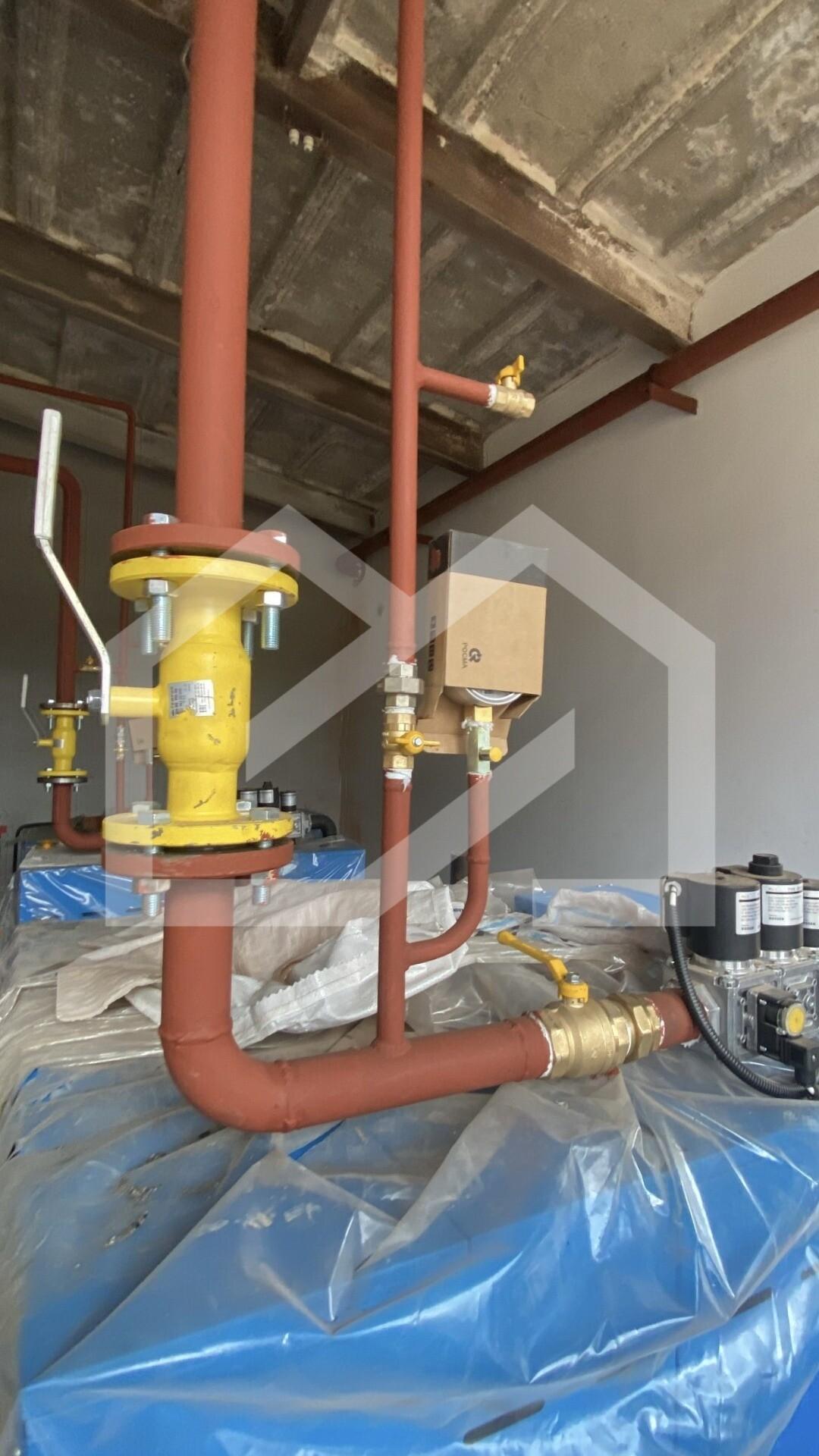 2026-04-07 10.47.33.JPG