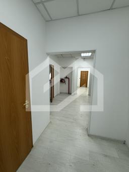 IMG_3919.jpg