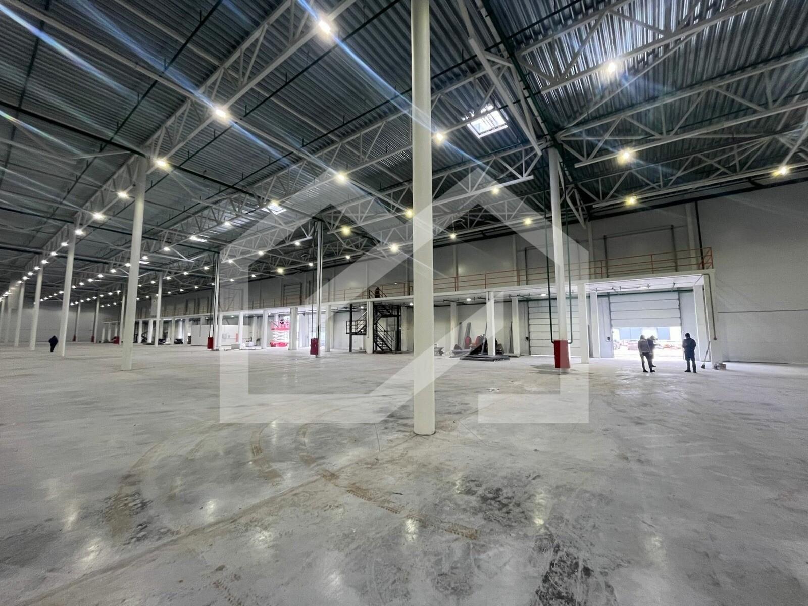 WhatsApp Image 2025-03-18 at 10.00.23.jpeg