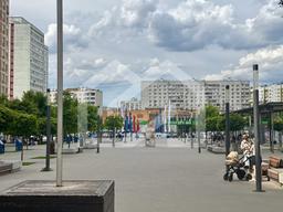 IMG_8436.jpeg