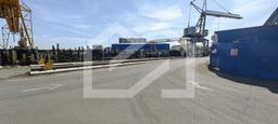 IMG_20250516_100154.jpg