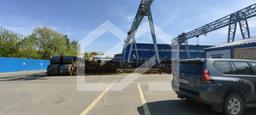 IMG_20250516_095738.jpg