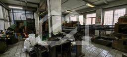 IMG_20251204_121129.jpg