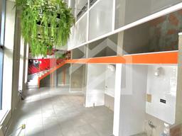 IMG_0493.jpeg