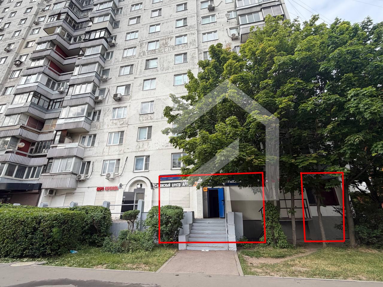 миклухо3.jpg