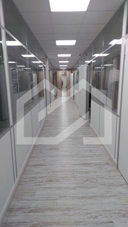 2025-03-05 14-08-01.JPG