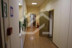 IMG_1139.JPG
