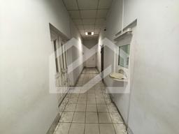 IMG_20260603_144517.jpg