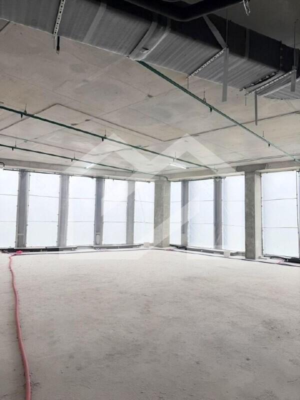 photo_5316841239967636219_x.jpg