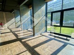 IMG_1322.jpeg