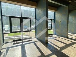 IMG_1319.jpeg