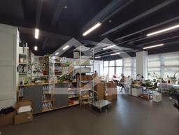 Снимок экрана 2026-06-30 155206.png