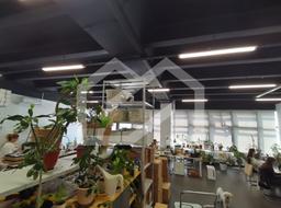Снимок экрана 2026-06-30 155337.png