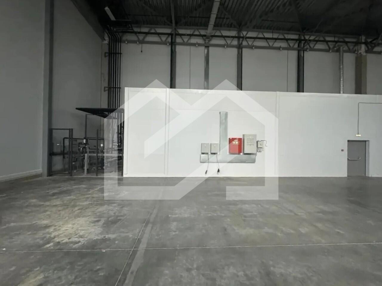 186dbbab-c773-47af-b50b-f5931c15ca33.jpg