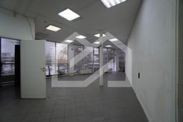 DSC04341.JPG