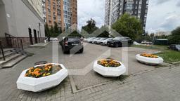 IMG_1903.jpeg