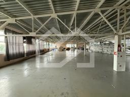 a7a52039-773a-4ca9-91db-99bd32689349.jpg
