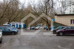 Копия IMG_1203.jpg