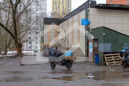 Копия IMG_1210.jpg