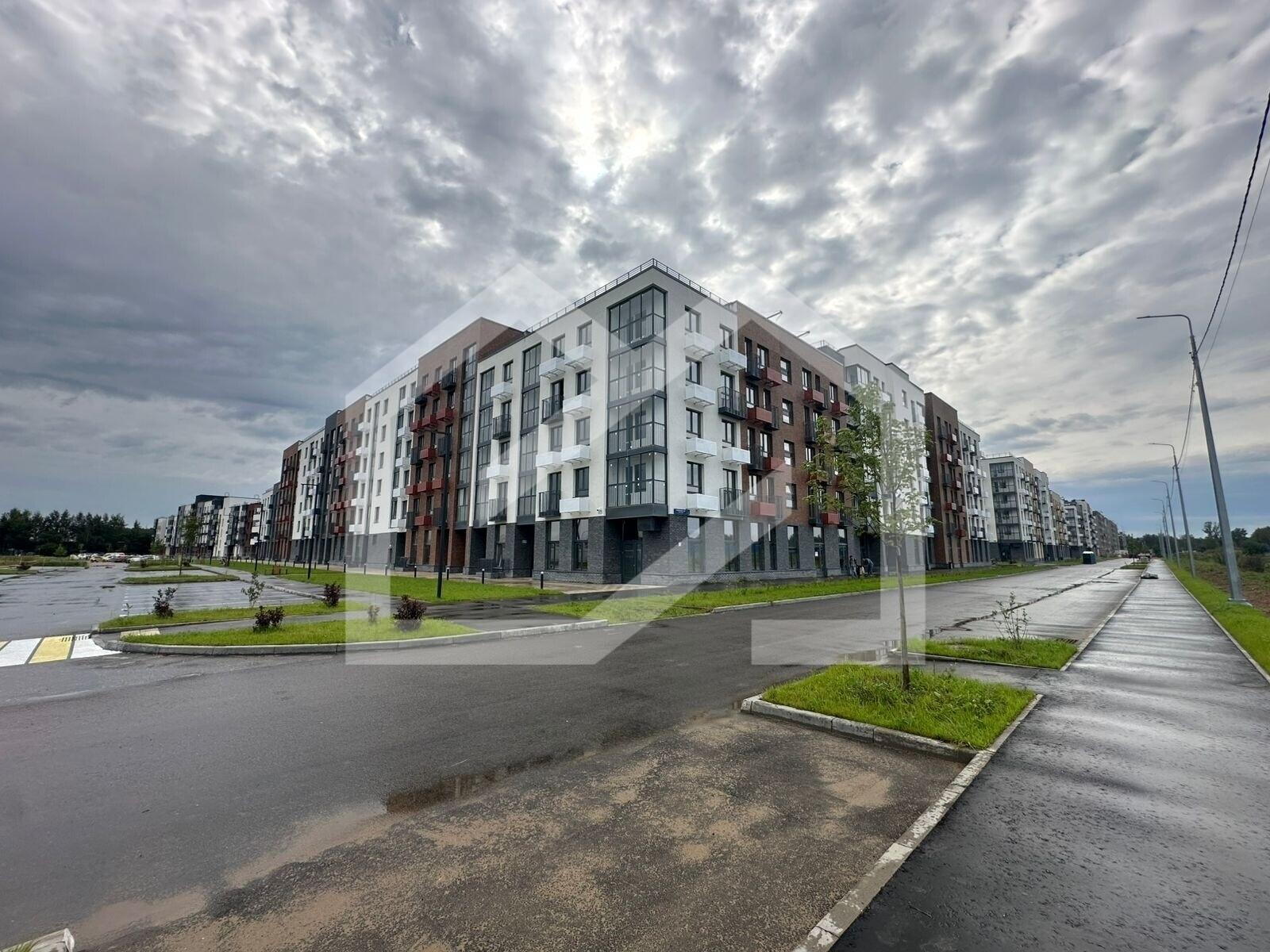 WhatsApp Image 2025-08-13 at 13.15.48 (3).jpeg