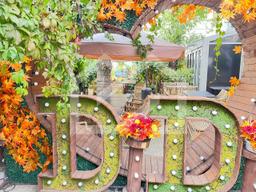 Изображение WhatsApp 2025-06-04 в 18.19.21_0374d0c3.jpg