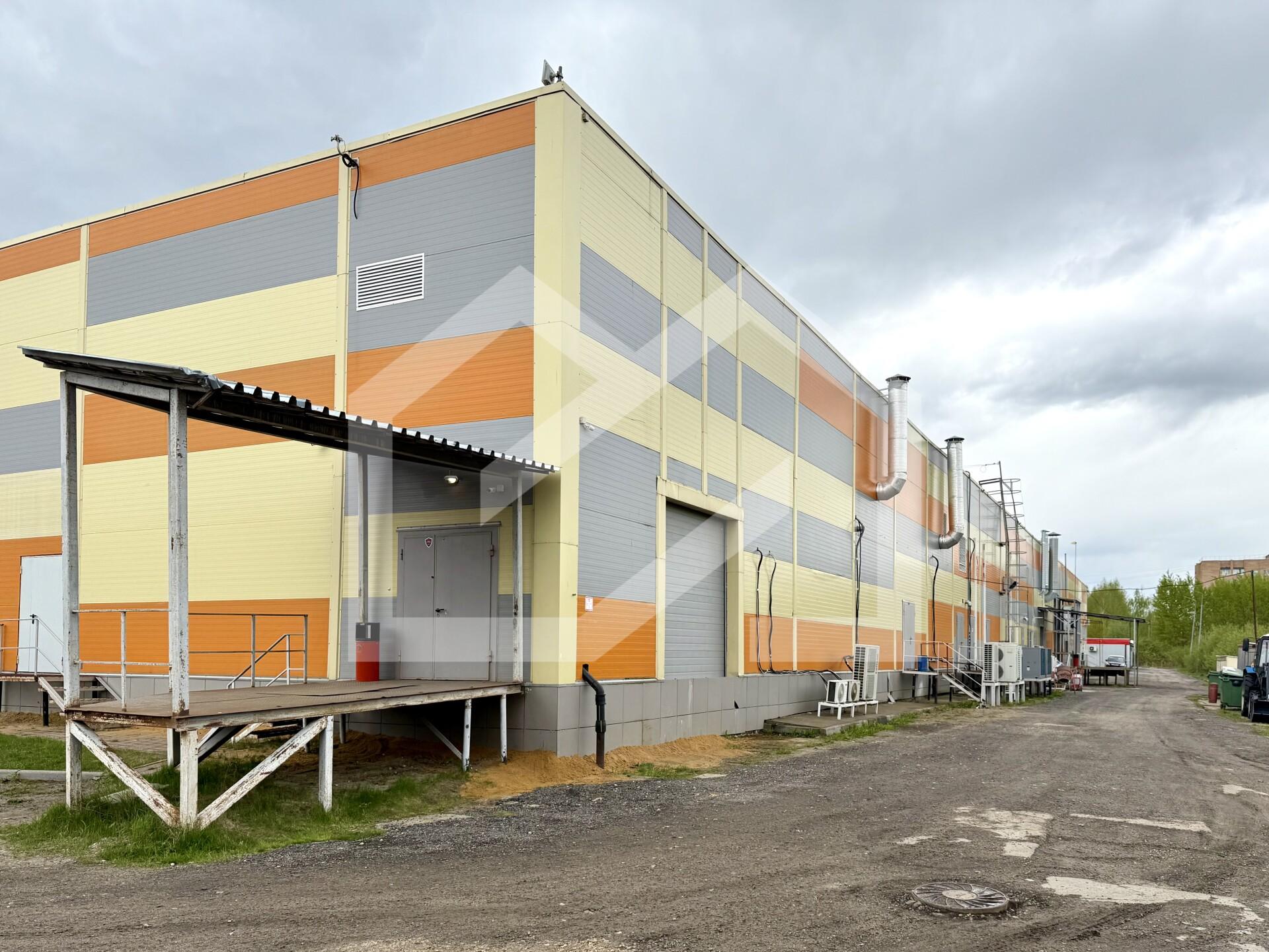 Копия IMG_2481.jpg