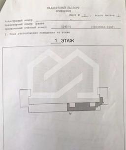 WhatsApp Image 2025-10-03 at 13.05.07.jpeg