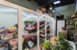 Снимок экрана 2025-05-27 152927.png