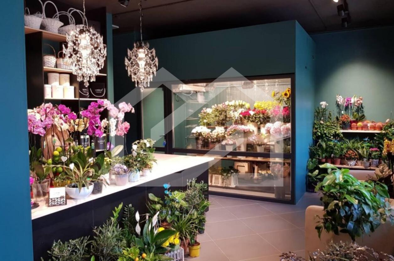 Снимок экрана 2024-11-20 150756.png