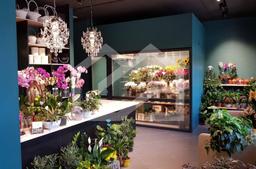 Снимок экрана 2024-11-20 150756.png