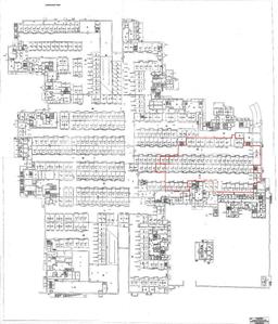 WhatsApp Image 2024-02-19 at 15.49.52.jpeg