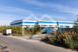 Копия IMG_0255.jpg